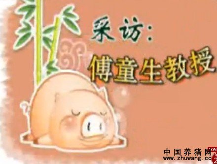 付童生：如何防控猪高热病
