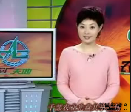 沼气池生态猪场的建造