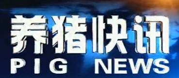 教您猪价高峰期销售秘籍