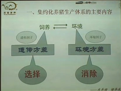 广州猪场建设学习班-张磊彪讲课