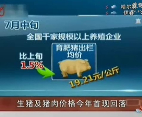 生猪及猪肉价格今年首次现回落