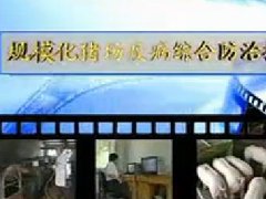 规模化猪场疫病防治技术