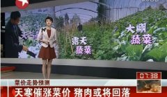 天寒催涨菜价猪价或回落